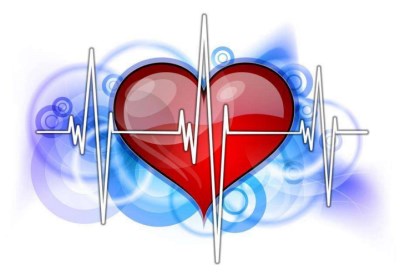 生化仪品牌解析是什么影响了心脏健康—山东国康