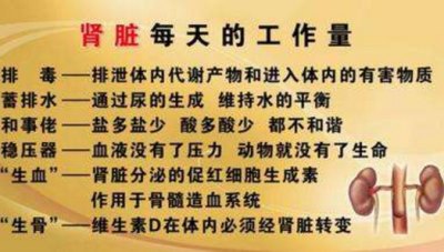 生化分析仪厂家浅肾功能不全的表现，你有吗—山东国康