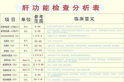 生化分析仪厂家叫之肝功能检验项目-山东国康