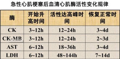 生化分析仪厂家心肌酶的临床意义-山东国康