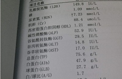 全自动生化分析仪检测到尿素氮偏高怎么办，山东国康