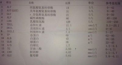 全自动生化分析仪厂家可检测人体白蛋白-山东国康