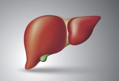 全自动生化分析仪浅谈使肝脏更健康的诀窍-山东国康
