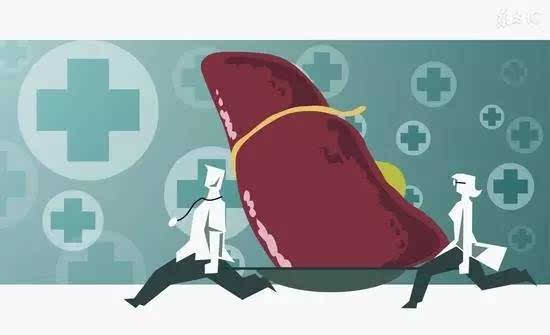 实验生化分析仪提示肝脏不好的表现