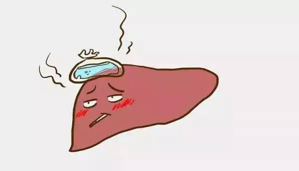 生化检测仪阐述肝功能衰竭