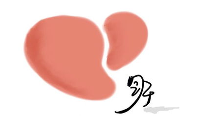 全自动生化分析仪提示肝脾肿大不可忽视