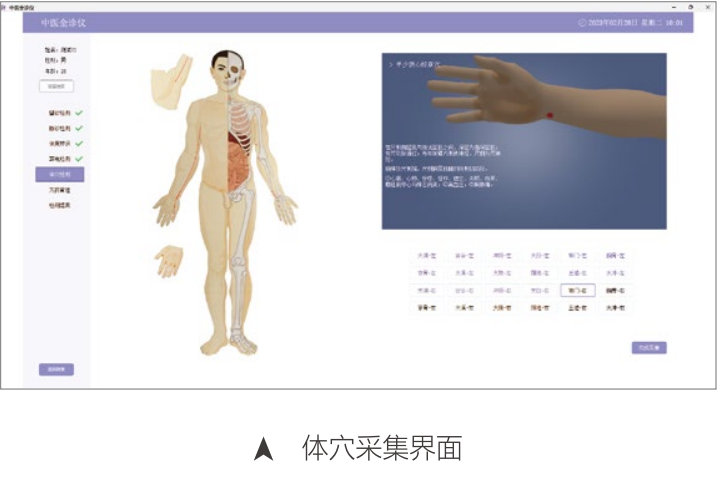 （中医全诊仪）舌面脉经穴信息采集管理系统（二代）体穴采集界面.png